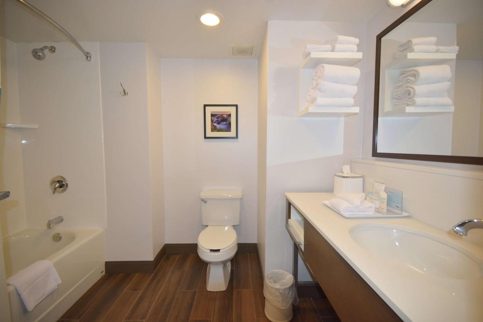 Hampton Inn Salem East - Electric Road Eksteriør billede