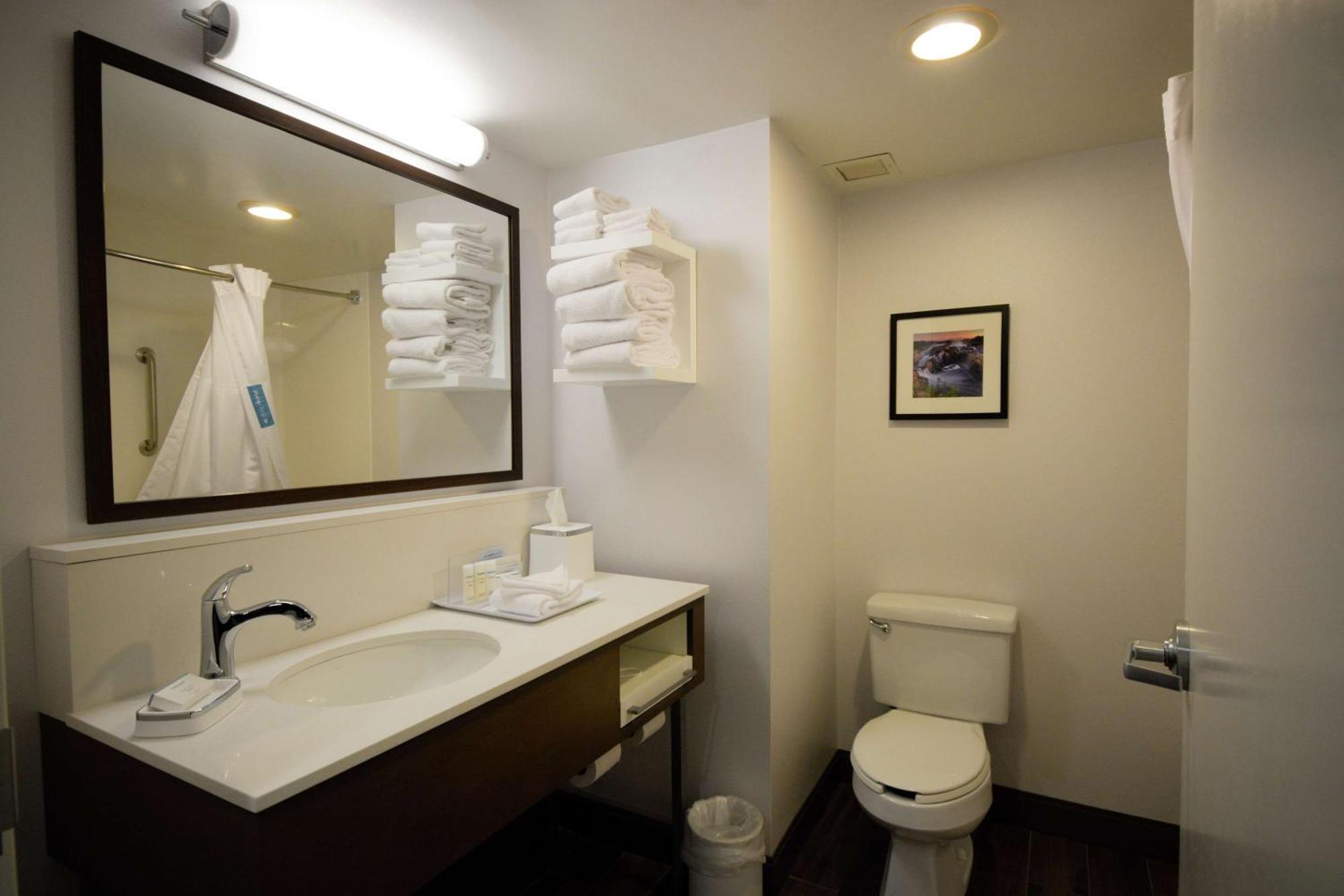 Hampton Inn Salem East - Electric Road Eksteriør billede