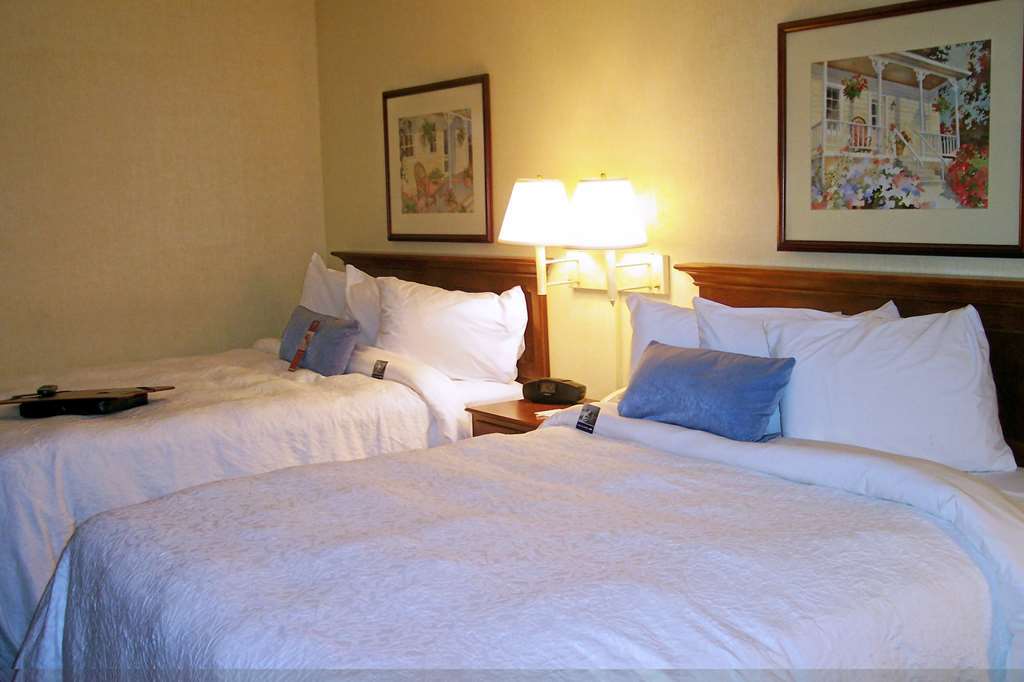 Hampton Inn Salem East - Electric Road Værelse billede